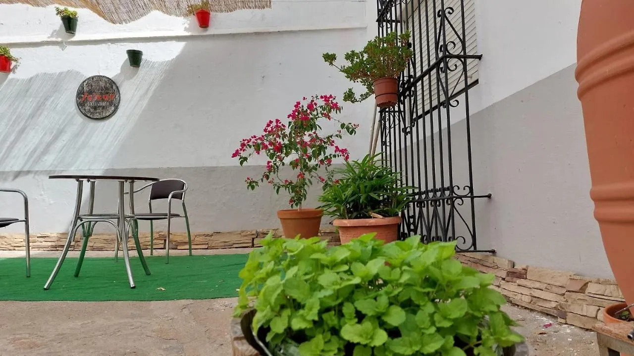 Italica Hostel Santiponce